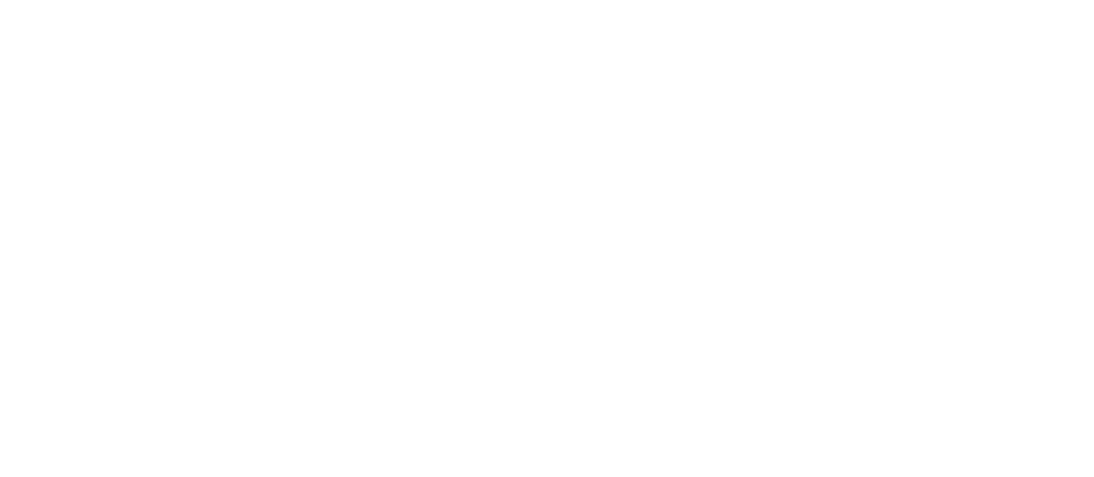 Shopify Plus Partner